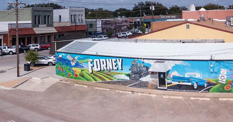 Roof Tarp Forney