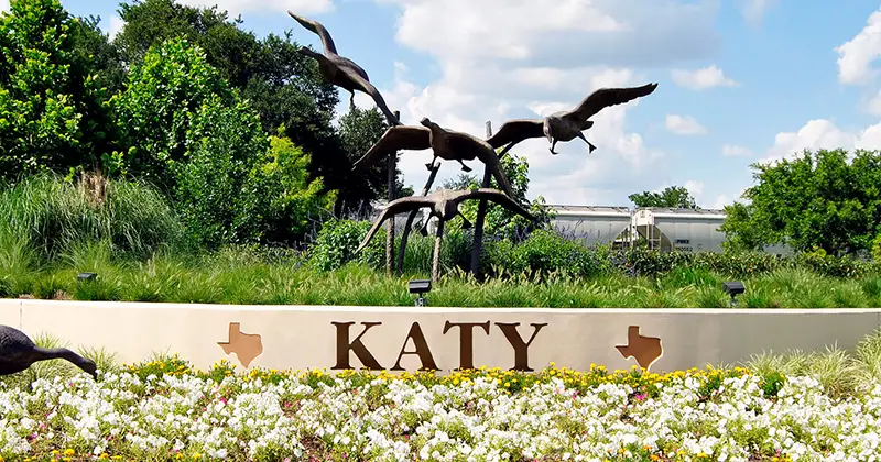Roof Tarp Katy