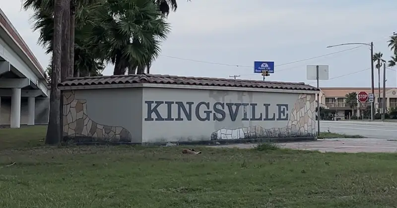 Roof Tarp Kingsville