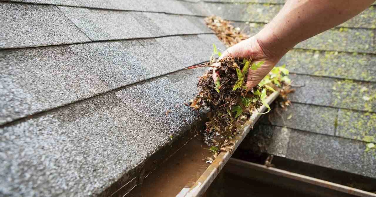 Clean Out Gutters and Downspouts